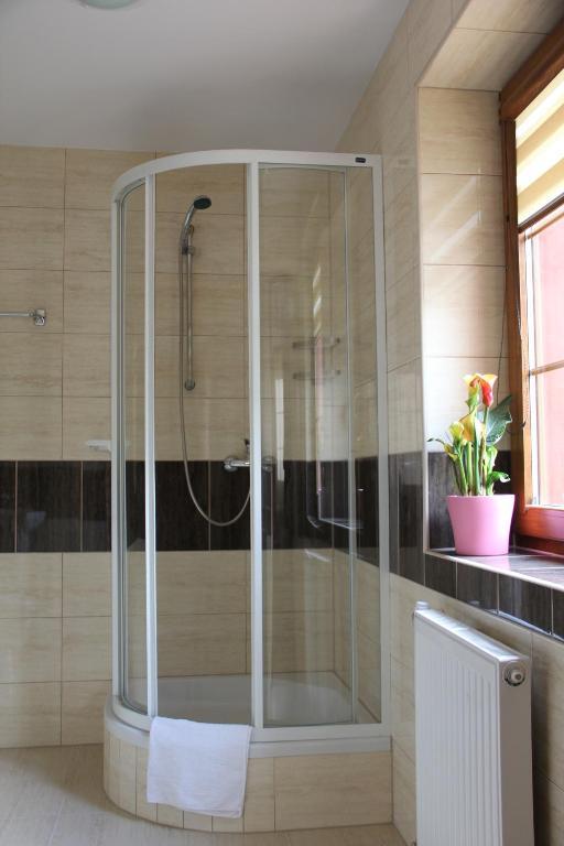 Apartamenty Pod Lwem ชวิดนิตซา ห้อง รูปภาพ